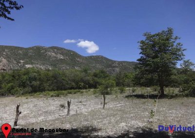 Serra do Pajeú (2)