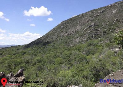 Serra do Pajeú (41)