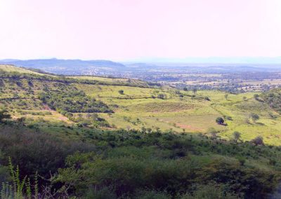 Talhadão de Macaúbas