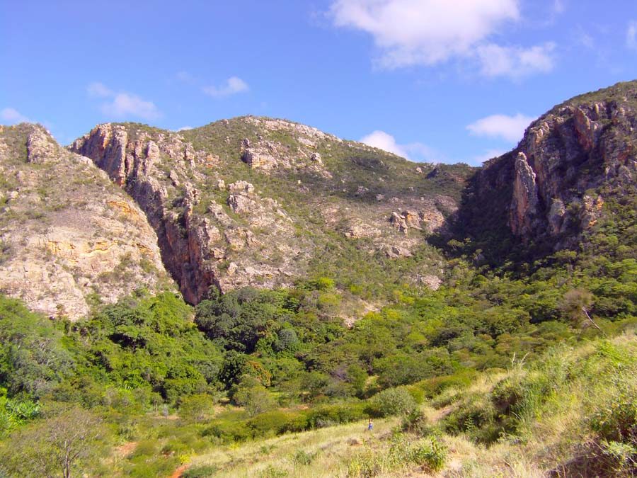 Talhadão em Macaúbas